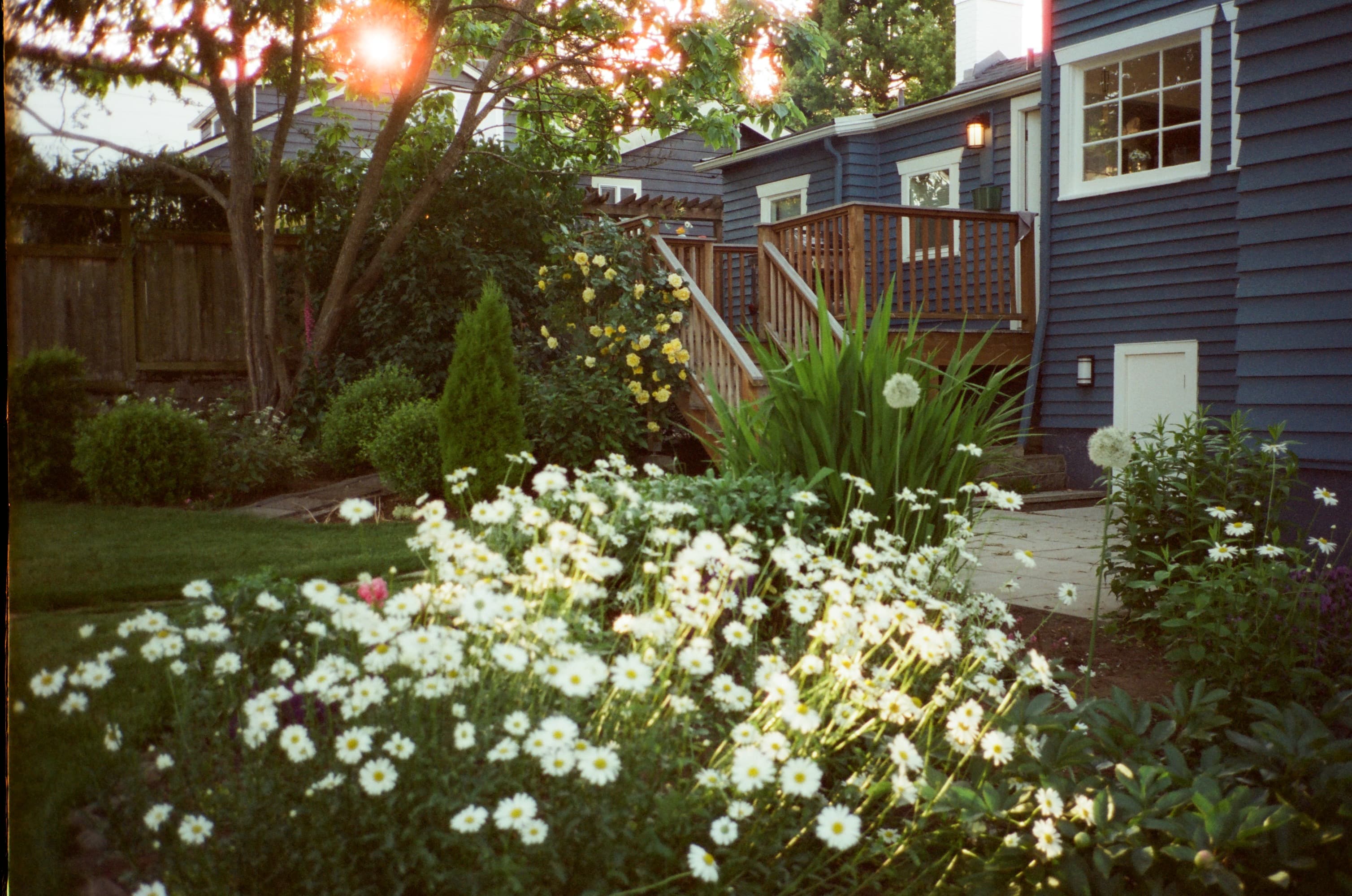 cinestill400_contaxt2_seattle_0426_0526_001