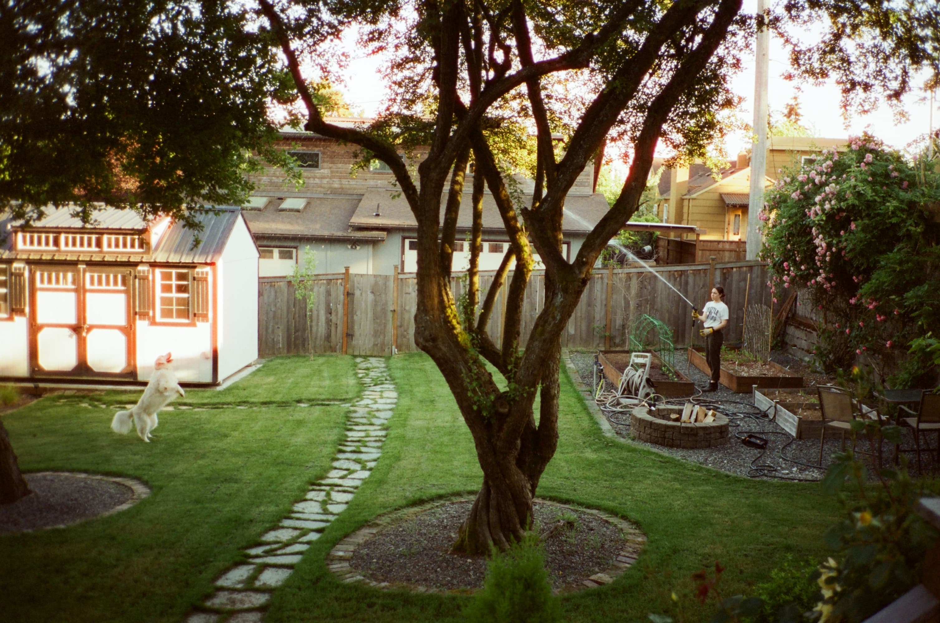 cinestill400_contaxt2_seattle_0426_0526_005