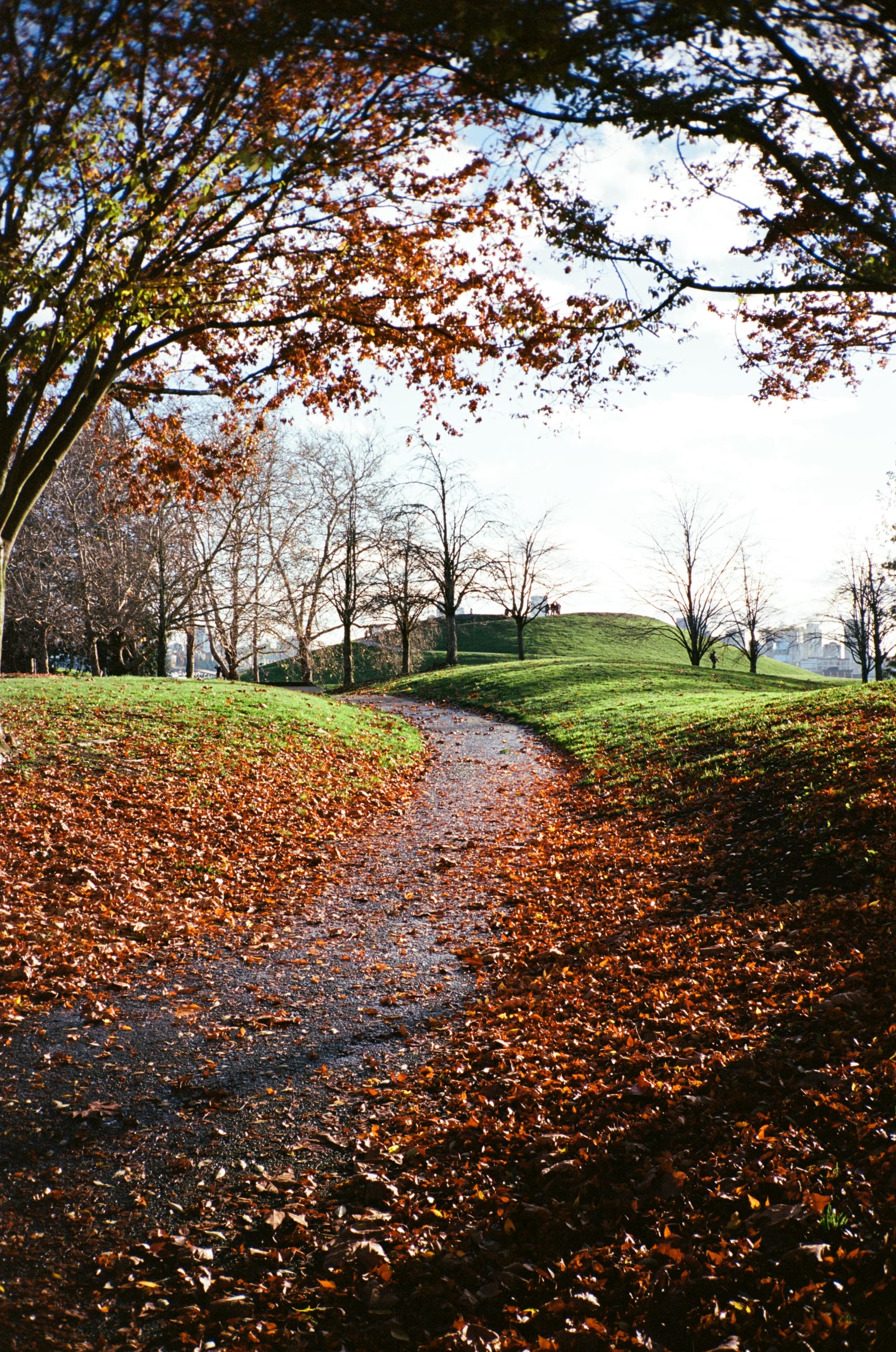 kodak_professional_ektar_100_01_13_2025_000002430020